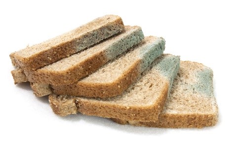 Les aliments étaient moisis ou gâtés